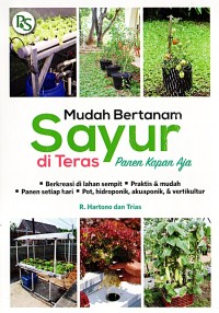 Mudah Bertanam Sayur di Teras