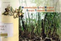 Memanfaatkan Lahan Marginal Dengan Tanaman Ganyong