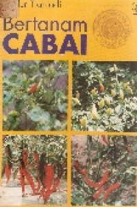 Bertanam Cabai