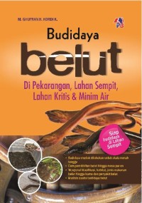 Budidaya Belut di Pekarangan, Lahan Sempit, Lahan Kritis & Minim Air