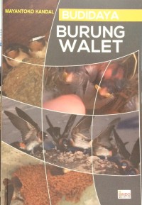 Budidaya Burung Walet